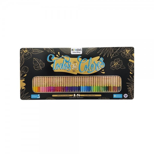 LÁPIZ DE COLOR CAJA...