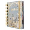 AGENDA 2027 MOOVING 14X20 DÍA X PÁGINA HARRY POTTER 1404222