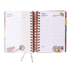 AGENDA 2027 MOOVING 14X20 DXP MICKEY & FRIENDS 14018253