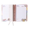 AGENDA 2027 MOOVING 14X20 DXP MICKEY & FRIENDS 14018253