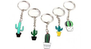 ACCESORIOS