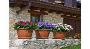 ACCESORIOS JARDINERIA